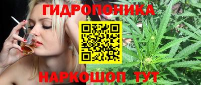 гидра Пенза