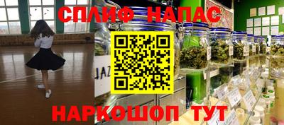 гидра Пенза