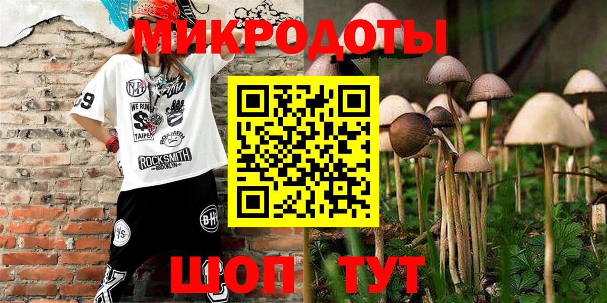 Галлюциногенные грибы Psilocybine cubensis Урус-Мартан